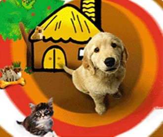 北京金凱利寵物樂園 公司網站設計（保密）